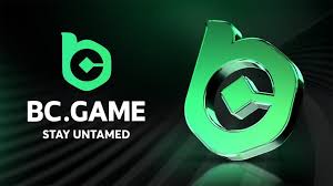 Everything You Need to Know About the App BC Game