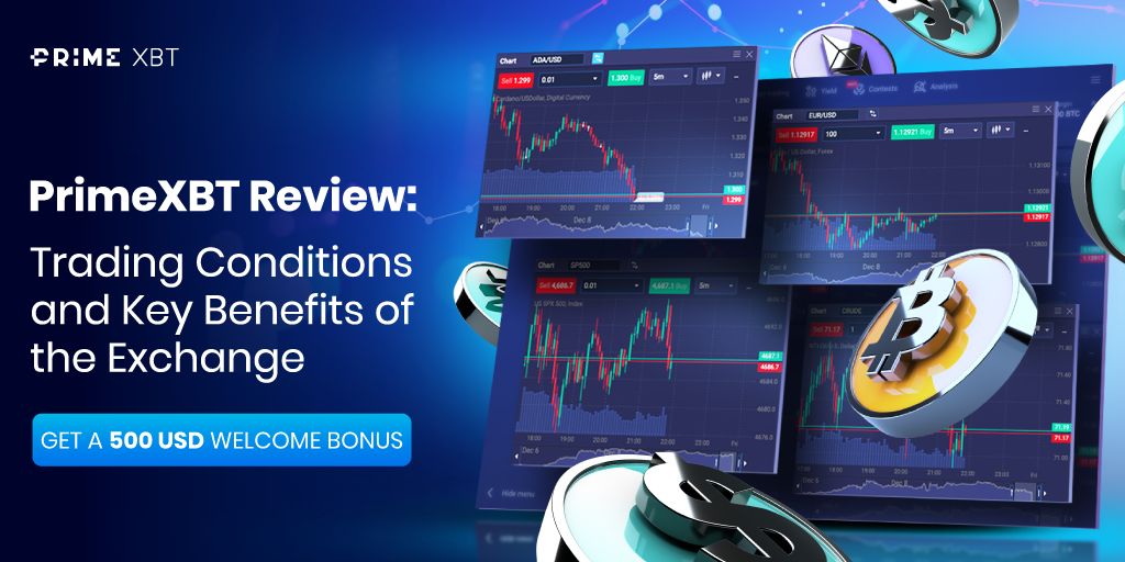 Explore the World of Cryptocurrency with PrimeXBT Hub 3