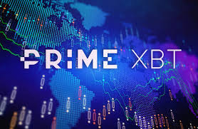 In-Depth Insights PrimeXBT UK Reviews