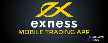 The Essential Guide to Using the Exness Trading Calculator