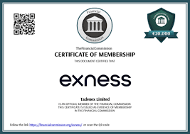 Ultimate Guide to Exness MT4 for Android Trade Anytime, Anywhere