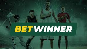 Cricket Betting on BetWinner CI A Complete Guide Cricket Betting on BetWinner CI A Complete Guide